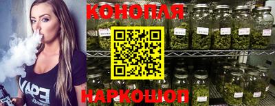 сатива Краснодар