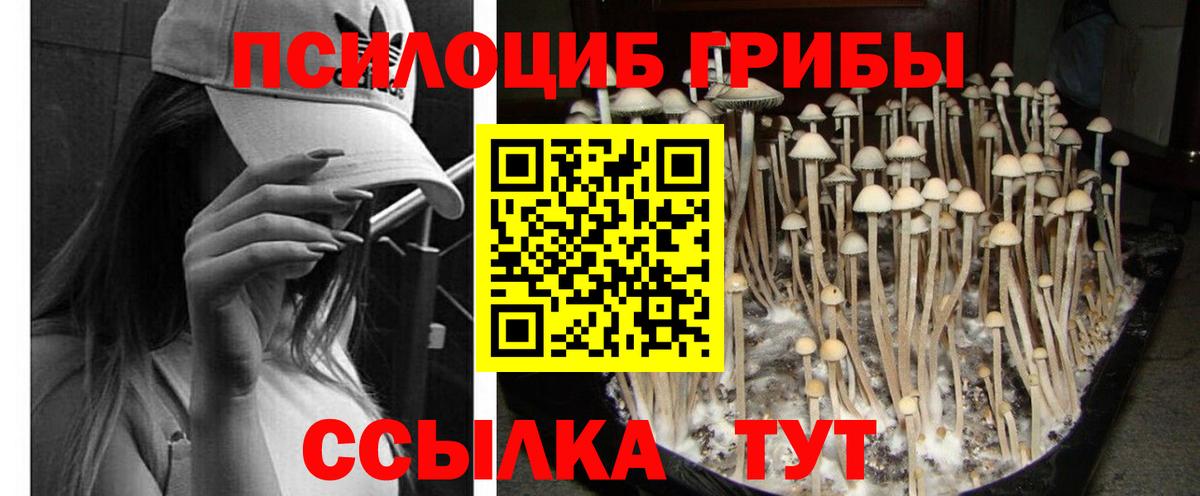 Псилоцибиновые грибы Magic Shrooms  Вход с VPN  Галлюциногенные грибы Psilocybe  Донской 